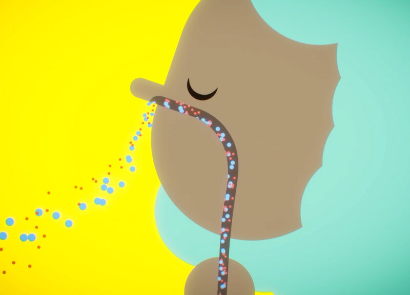 Air Pollution Awareness – Newcastle University