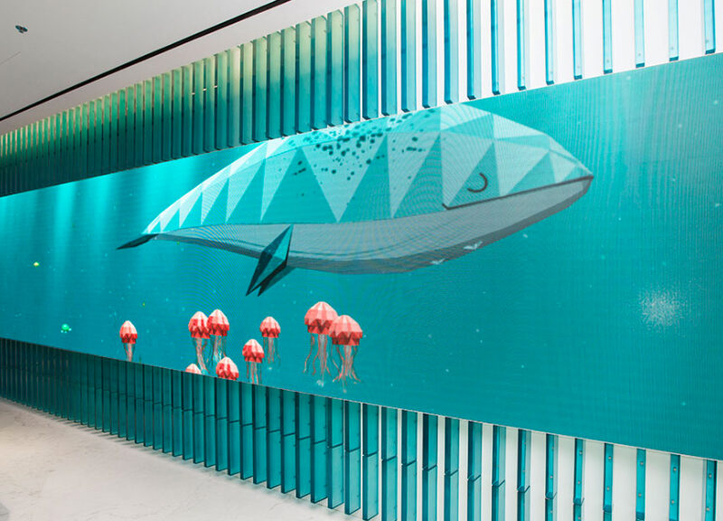 Level Kids Store – Dubai